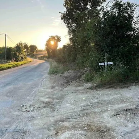 Roulotte „couleur“ קונדום