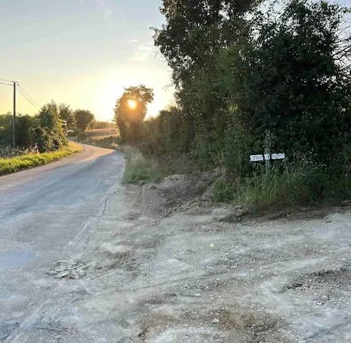 Roulotte „couleur“ Condom